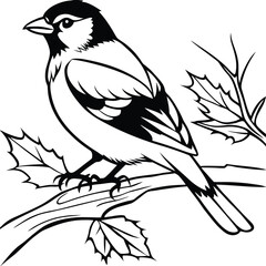 Obraz premium Charming bird perched on a snow covered branch creating a serene winter scene isolated on white background isolated on transparent background