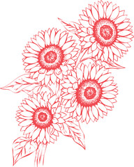 Red Sunflowers with Leaves on White Background Keywords: sunflower, flower, plant, floral, nature, bloom, blossom, petals, yellow