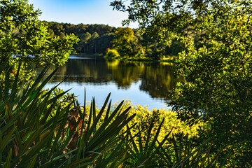 hilton head, beaufort, sc, south carolina, lake, greenery, sunset, nature, reflection, trees,...