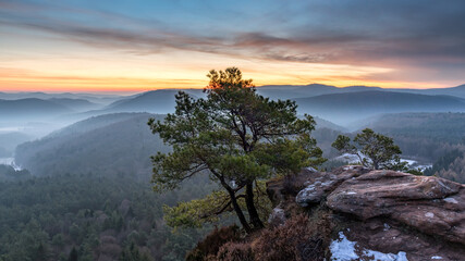 Verschneiter Schlüsselfels in Busenberg im Winter beim Sonnenaufgang mit Nebel in den Tälern