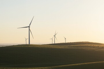 Obraz premium Wind turbines generate clean energy on rolling hills at sunset, showcasing sustainable future power with soft lighting and green landscape for environmental projects