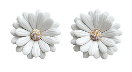 Two white daisies in 3D, close-up