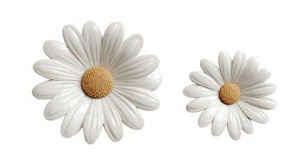 Two stylized white daisies, differing in size
