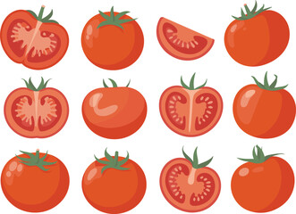 Tomato illustrations, whole and sliced, realistic and stylized, food art, vegetable anatomy, culinary design, educational, organic produce