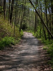 Obraz premium OHV trail in Hatfield Mccoy trail system in West Virginia in springtime