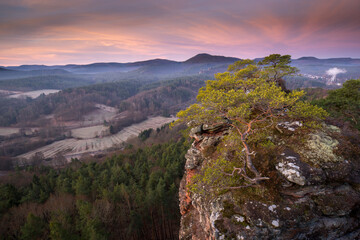 Hochstein in Dahn im herbstlichen Sonnenaufgang mit Nebel in den Tälern