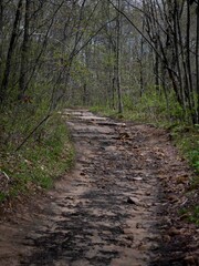 Fototapeta premium Scenic ATV trail through Appalachian forest in West Virginia in Hatfield McCoy trail system