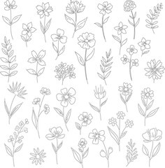 Collection of hand drawn botanical illustrations of various flowers and plants in sketch style