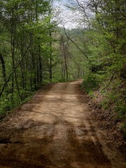 Fototapeta premium Forested Dirt road in Hatfield Mccoy trail system in West Virginia in springtime