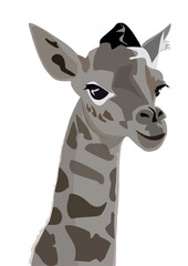 Giraffe head isolated on white background. Vector illustration in flat style.	