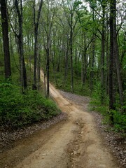 Obraz premium Steep Off roading Dirt road in Hatfield Mccoy trail system in West Virginia in springtime