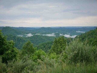 Naklejka premium Low clouds in Appalachian forest in West Virginia in springtime