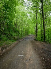 Fototapeta premium Scenic ATV trail through east coast Appalachian forest in West Virginia in Hatfield McCoy trail system