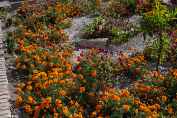 Gardens of the Alc&aacute;zar of Seville, Spain