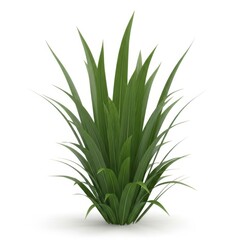 Two vibrant green four-leaf clovers with water droplets symbolizing luck and growth