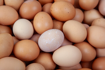 Close up, fresh farm-raised chicken organic eggs of various colors and textures.