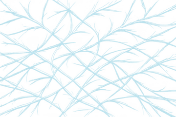 Ice cracks global network abstract pattern transparent background