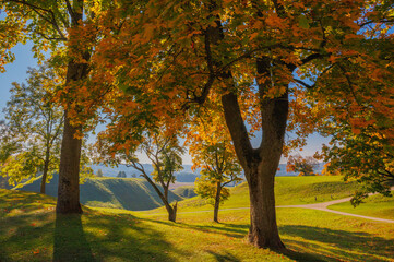 A Stunning Autumn Landscape Featuring Vibrant Trees, Bright Colors, and a Clear Blue Sky