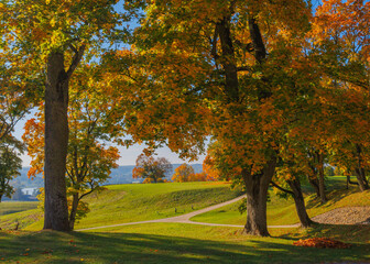 Fototapety na wymiar - Fototapeta24.pl