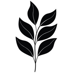 botanical eucalyptus leaves  vector line artvector