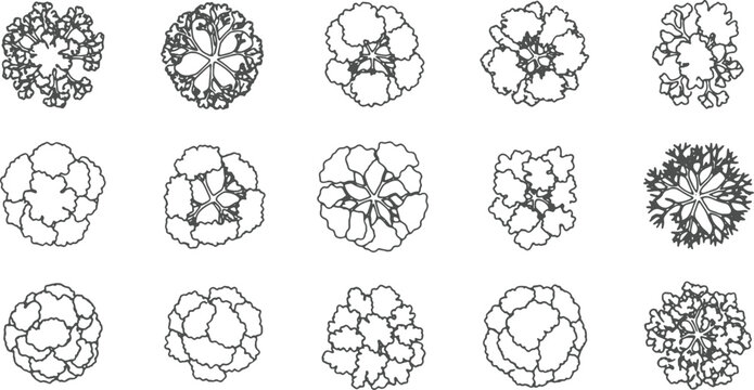 Set of Tree Top View Line Art Vector Illustration