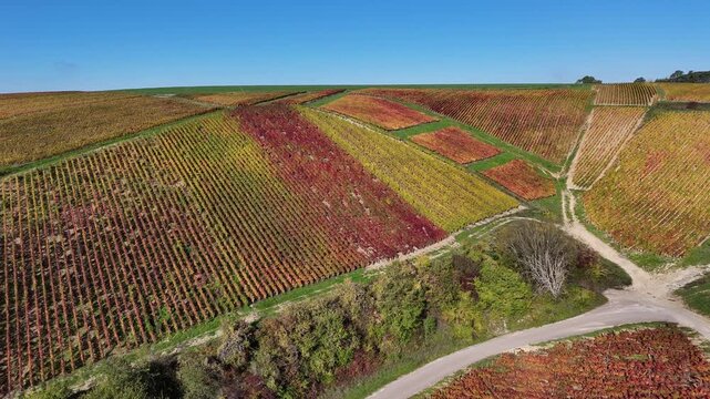 Vue a&eacute;rienne du plus grand terroir de toute la Champagne (866 hectares de vignes), class&eacute; au patrimoine mondial de l&rsquo;UNESCO : Les vignobles des communes des Riceys, dans l'Aube, en automne