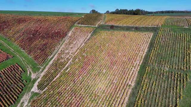 Vue a&eacute;rienne du plus grand terroir de toute la Champagne (866 hectares de vignes), class&eacute; au patrimoine mondial de l&rsquo;UNESCO : Les vignobles des communes des Riceys, dans l'Aube, en automne