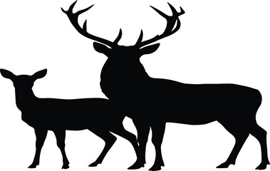Silhouette of a male deer with large antlers standing next to a female deer.