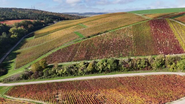 Vue a&eacute;rienne du plus grand terroir de toute la Champagne (866 hectares de vignes), class&eacute; au patrimoine mondial de l&rsquo;UNESCO : Les vignobles des communes des Riceys, dans l'Aube, en automne