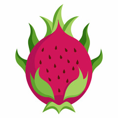 Whole dragon fruit and pitaya. Exotic, tropical fruits. Isolated vector illustration on white background