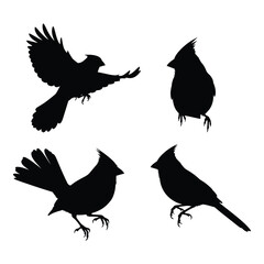 Silhouette collection of four cardinals in various poses bird art vector