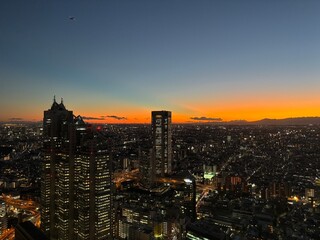 The Tokyo skyline at night.