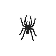 silhouette spider, tarantula