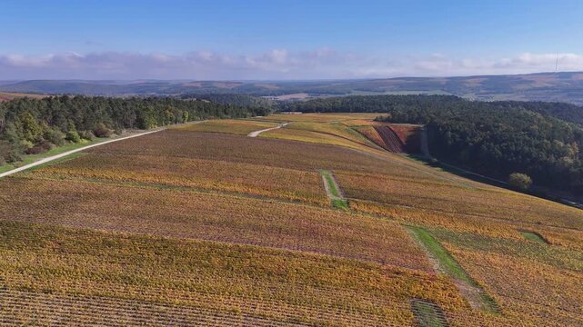 Vue a&eacute;rienne du plus grand terroir de toute la Champagne (866 hectares de vignes), class&eacute; au patrimoine mondial de l&rsquo;UNESCO : Les vignobles des communes des Riceys, dans l'Aube, en automne