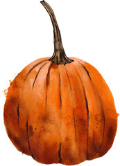 Hand painted watercolor orange pumpkin Illustration