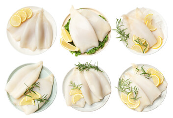 Fresh squids with lemon slices isolated on white, set. Top view