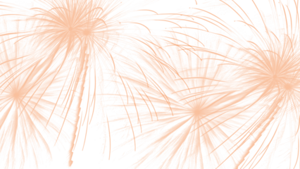 Peach dandelion flowers isolated on transparent background image