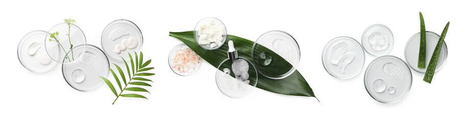 Petri dishes with cosmetic products on white background, top view