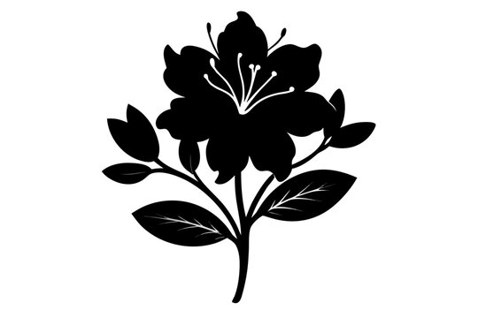 Azalea flower black icon, Azalea silhouette art
