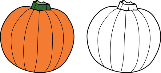 Coloring page with ripe pumpkin isolated on white background