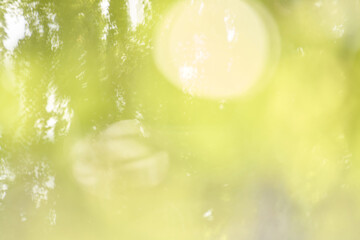 Abstract nature background with soft green and yellow bokeh light reflections and blurred foliage.