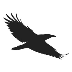flying birds silhouettes