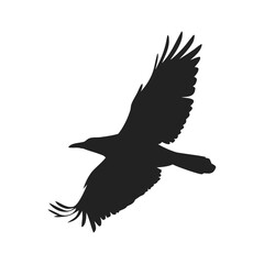 flying birds silhouettes