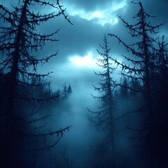 Thick blue mist surrounds tall trees in a shadowy forest during twilight hours