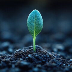 Fresh green sprout breaks through dark soil, representing growth and resilience in nature