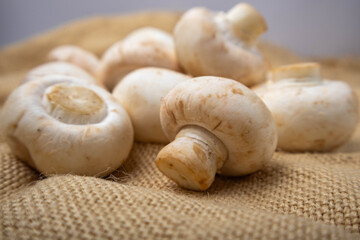 champignon mushrooms on a linen towel