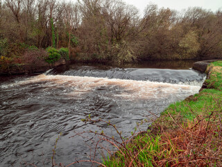 Small river with water flow. Trees and bushes growing on the river banks. Calm and relaxing nature scene.
