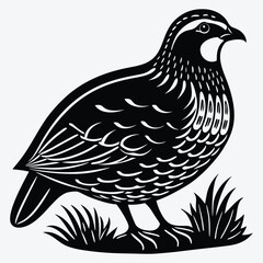 Quail line art White background illustration Generative Ai