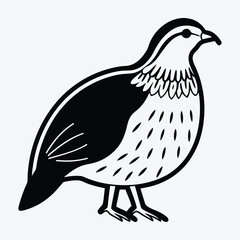 Obraz premium Quail line art White background illustration Generative Ai
