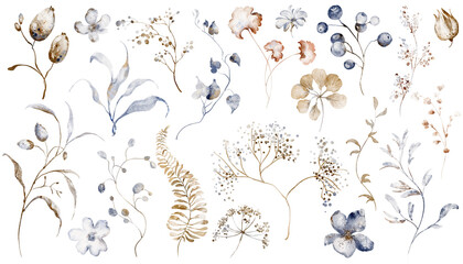 Collection of dried plants, herbs, and wildflowers in watercolor, hand-drawn with delicate details. Perfect for botanical designs, invitations, or nature-themed projects. © Elena